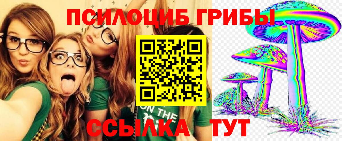 Саянск  Псилоцибиновые грибы Magic Shrooms  Вход с VPN  Галлюциногенные грибы GOLDEN TEACHER 